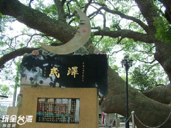 澤民樹(樟公樹)