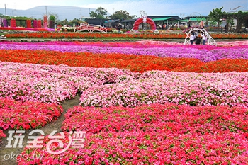 中社觀光花市