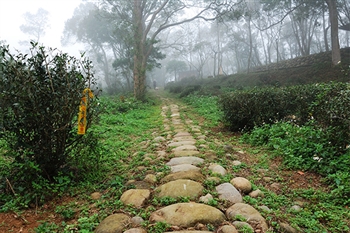 挑炭古道